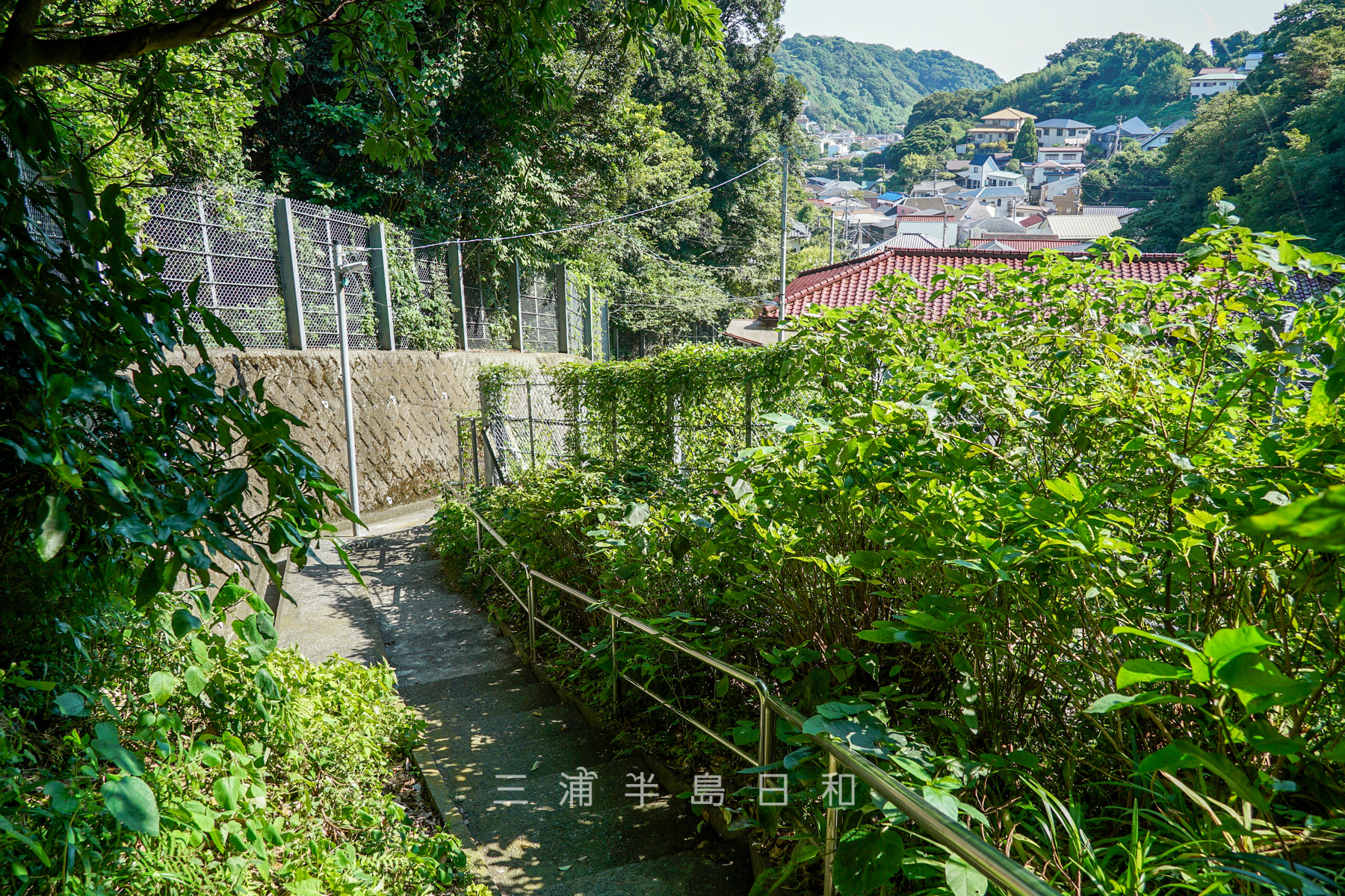 小坪坂（小坪峠）・小坪側の坂の頂上付近より姥ヶ谷を望む（撮影日：2024.09.06）