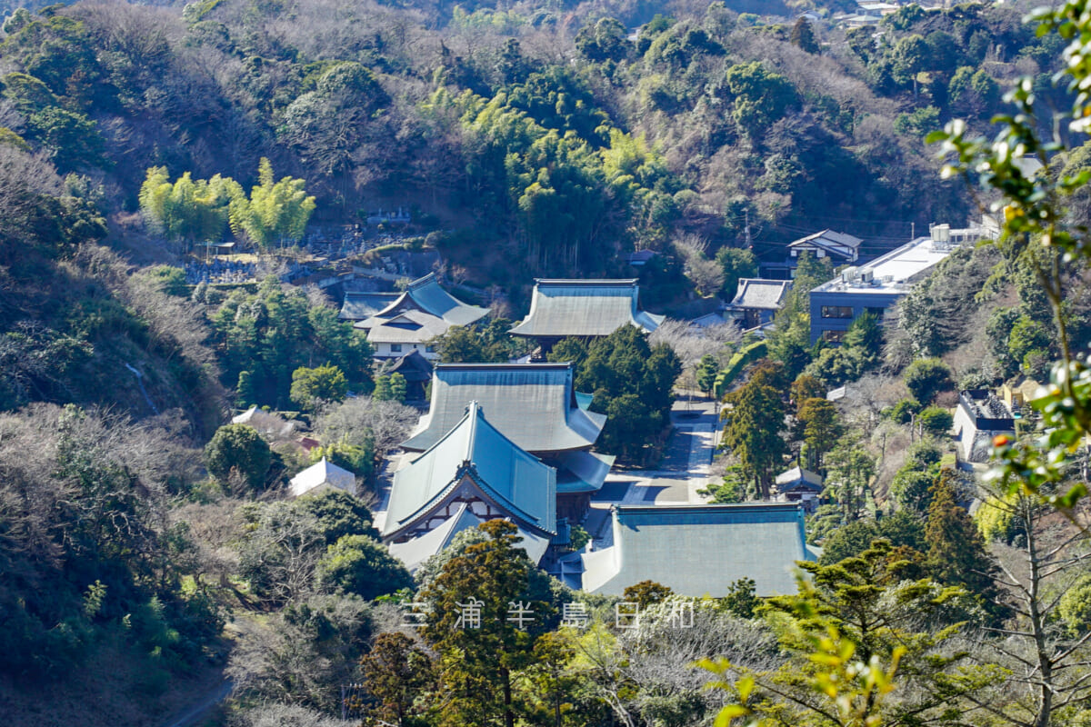 勝上嶽展望台より建長寺境内を望む（撮影日：2021.02.05）