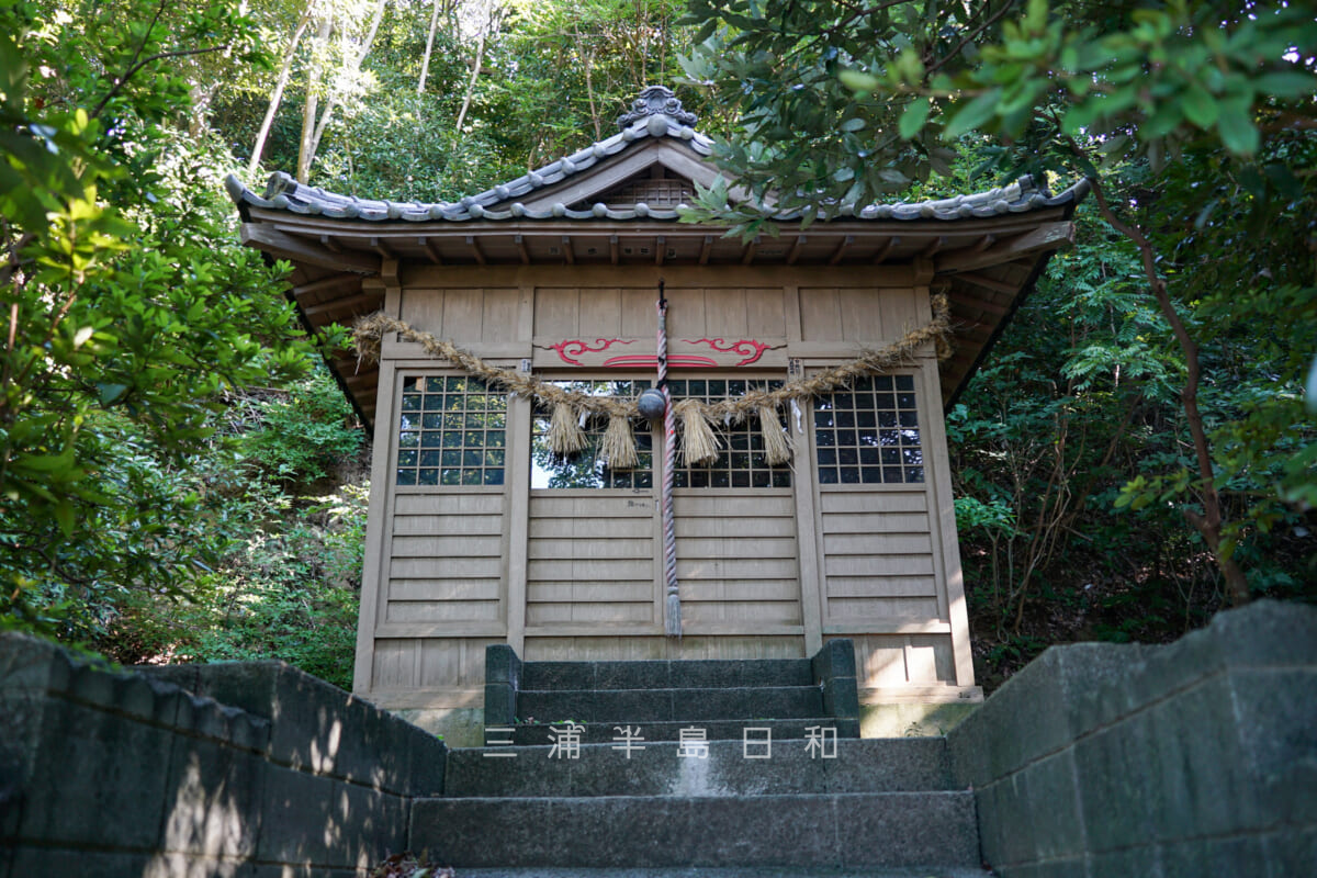 住吉神社（長井）・社殿（撮影日：2024.09.26）