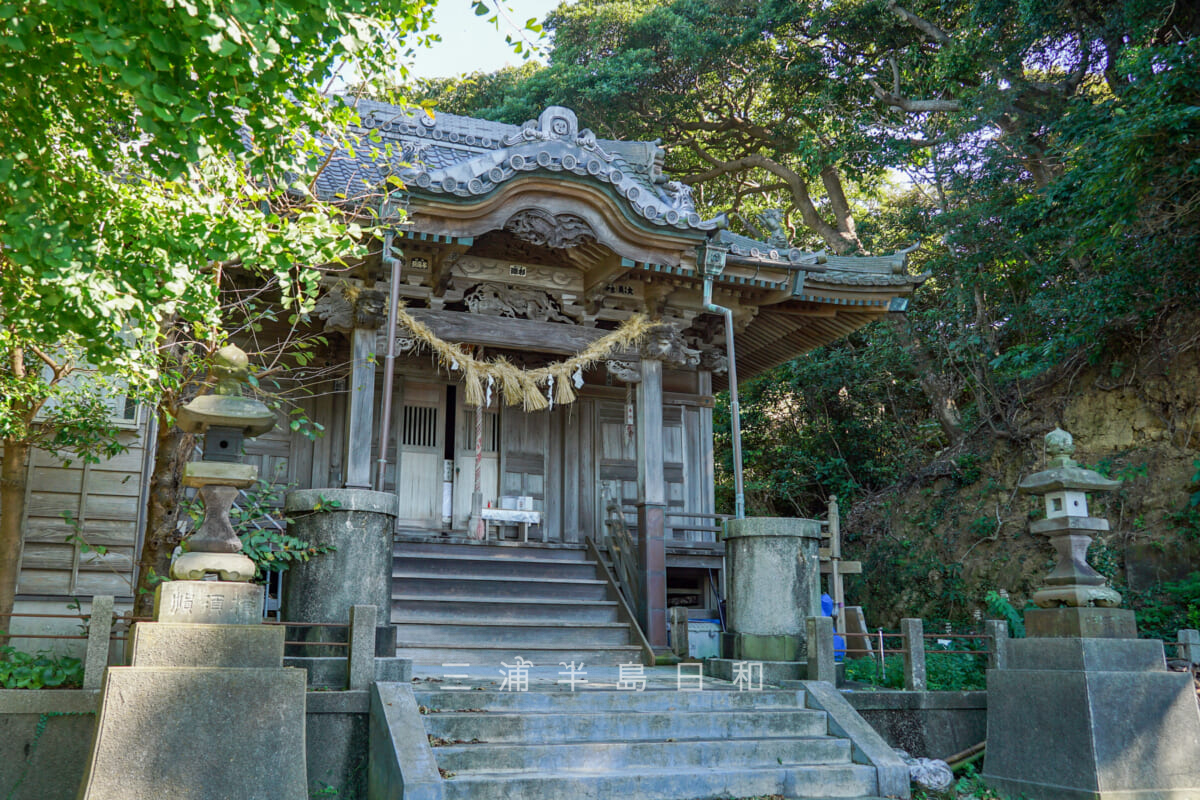 長井熊野神社・社殿を見上げる（撮影日：2024.09.26）