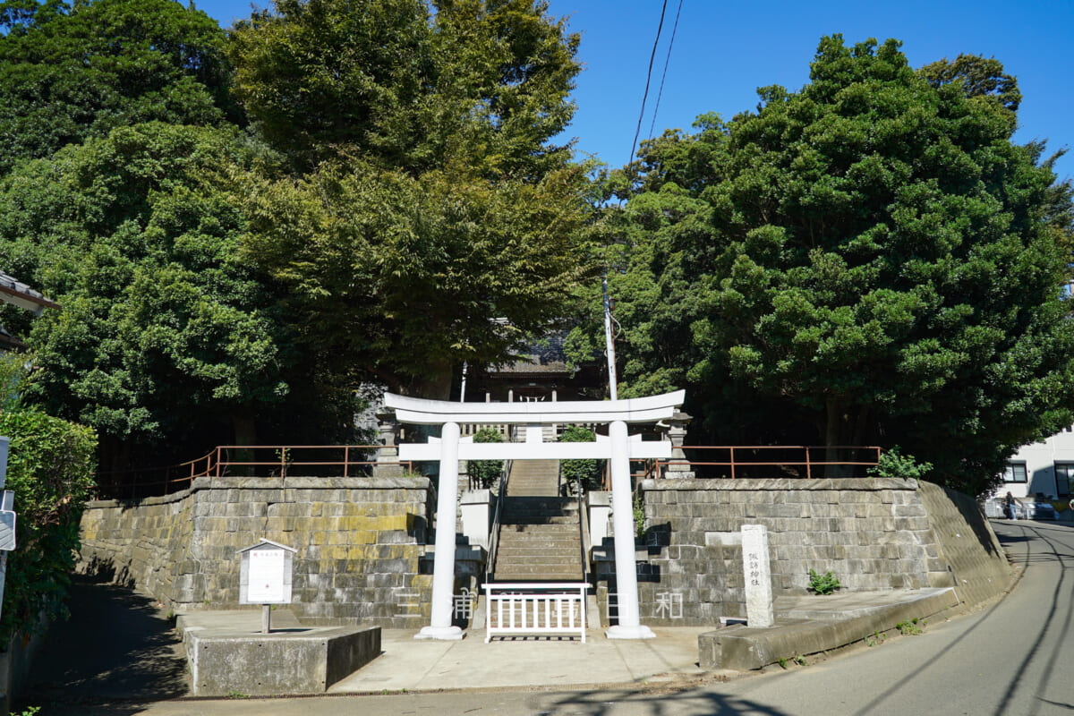 諏訪神社（上宮田）・境内をおおう社叢林（撮影日：2024.09.26）