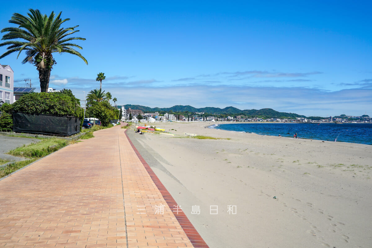 菊名海岸・遊歩道から三浦海岸方面を望む（撮影日：2024.09.26）