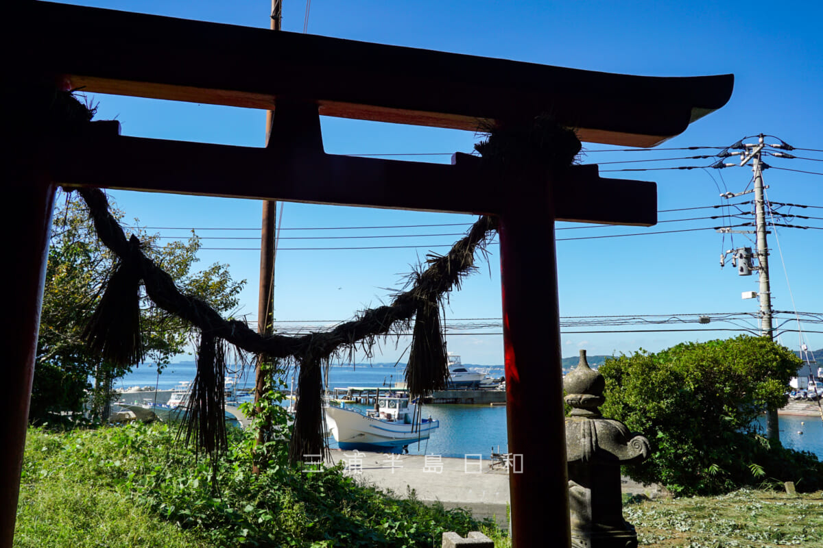 住吉神社（長井）・鳥居越しに漁港を望む（撮影日：2024.09.26）