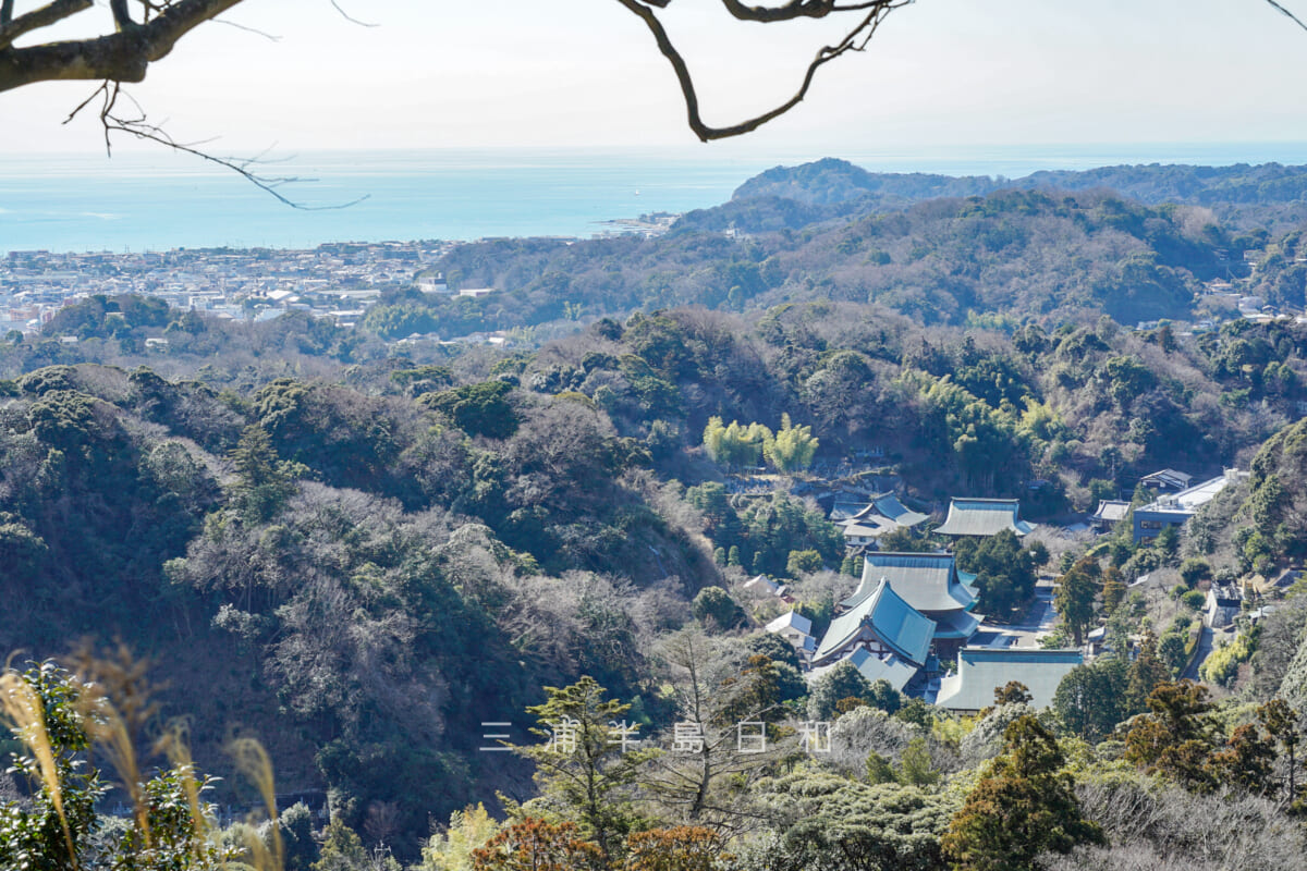 勝上嶽展望台より建長寺境内と鎌倉市街地方面を望む（撮影日：2021.02.05）