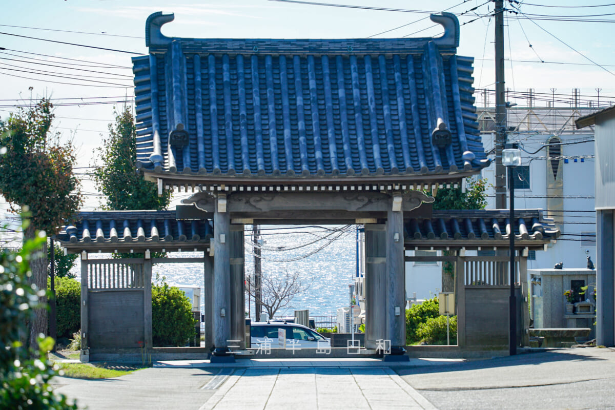 法蔵院・山門越しに津久井浜海岸方面を望む（撮影日：2024.09.26）