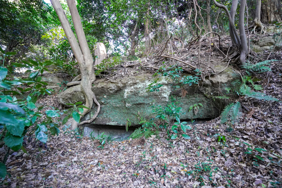 瑞泉寺裏山やぐら群-4（撮影日：2022.12.15）