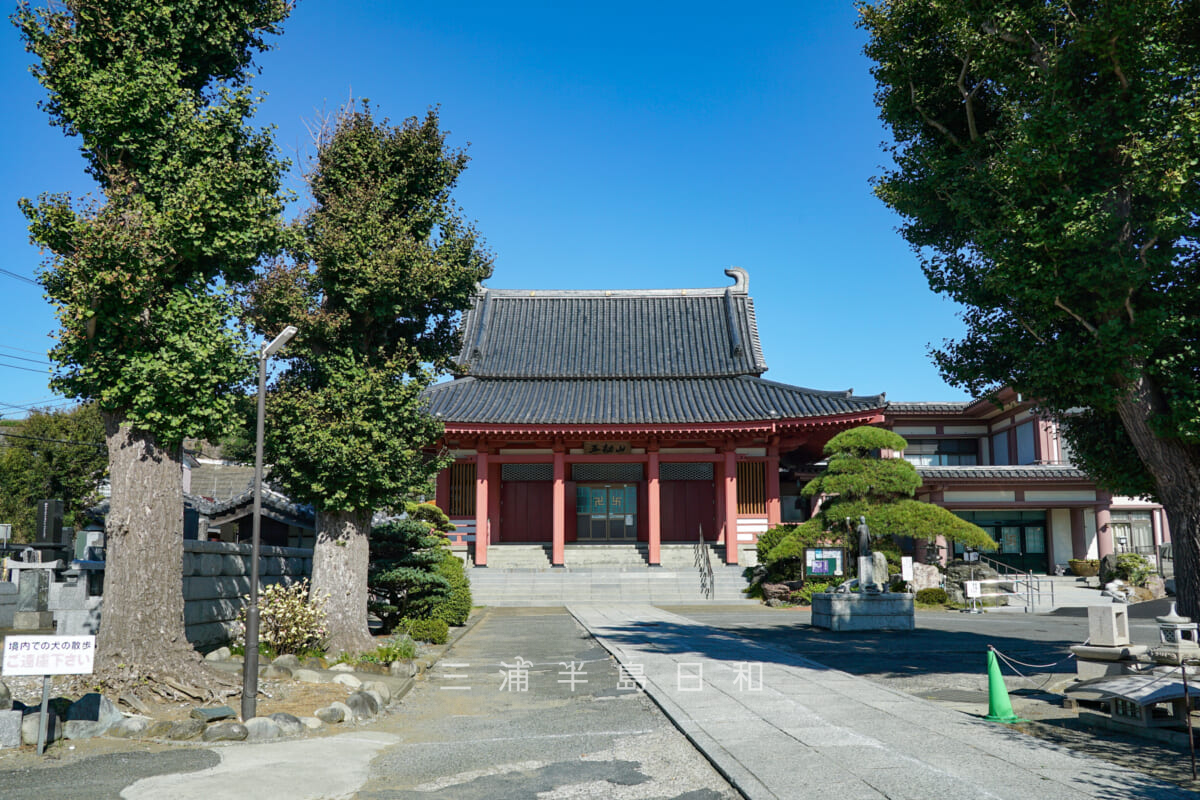 法蔵院・本堂（撮影日：2024.09.26）