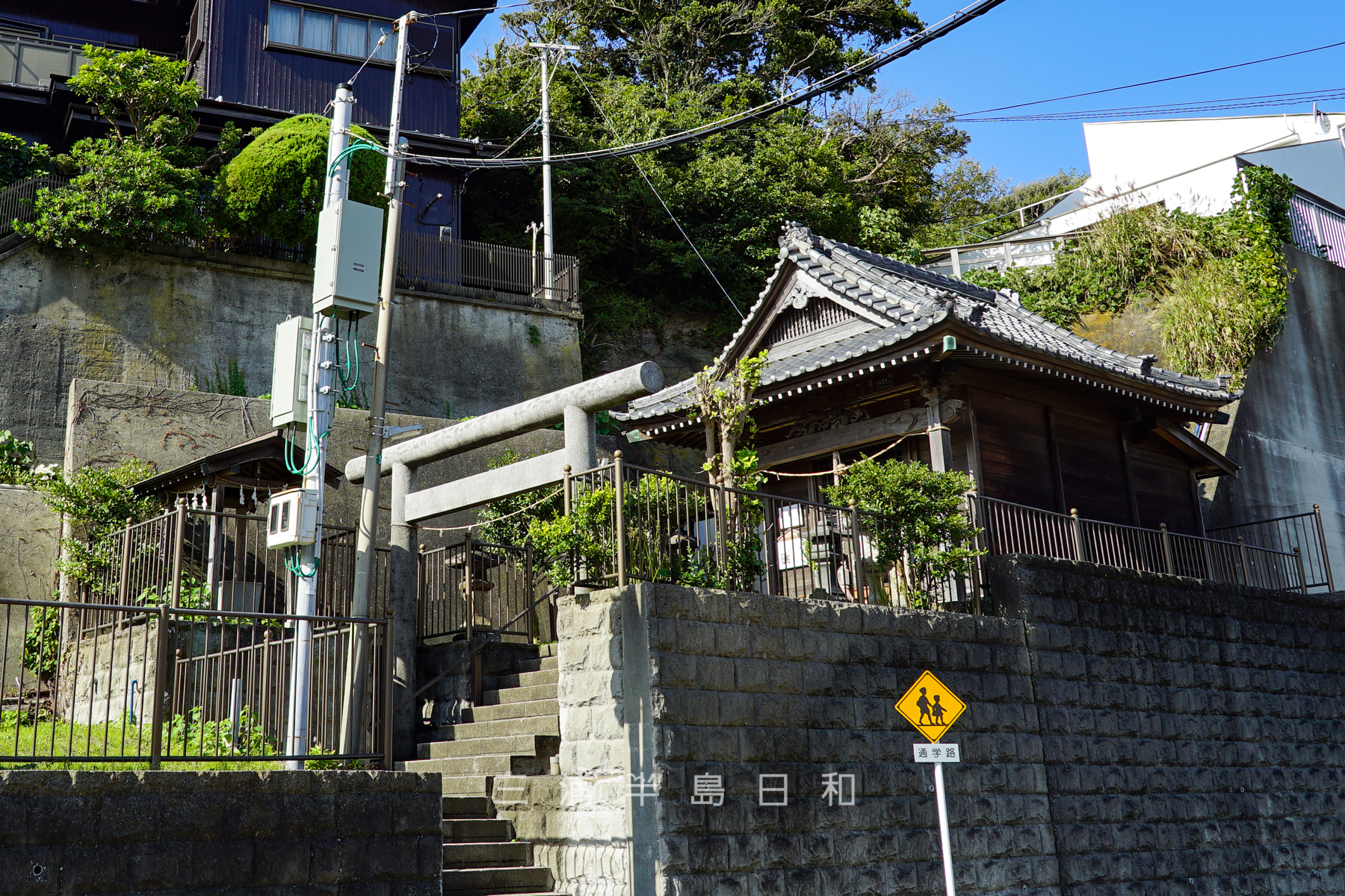 小坪須賀神社（天王社）・バス通りから境内を見上げる（撮影日：2020.10.20）