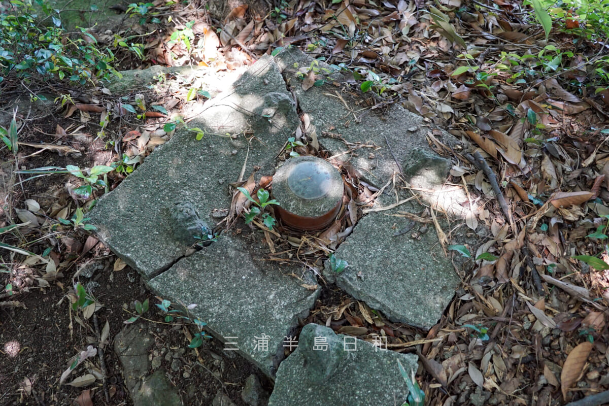 こんぴら山・山頂の3級基準点（撮影日：2021.05.25）