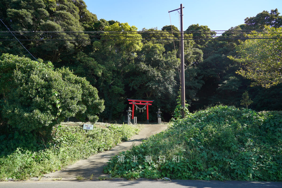 住吉神社（長井）・境内前の車道より望む（撮影日：2024.09.26）