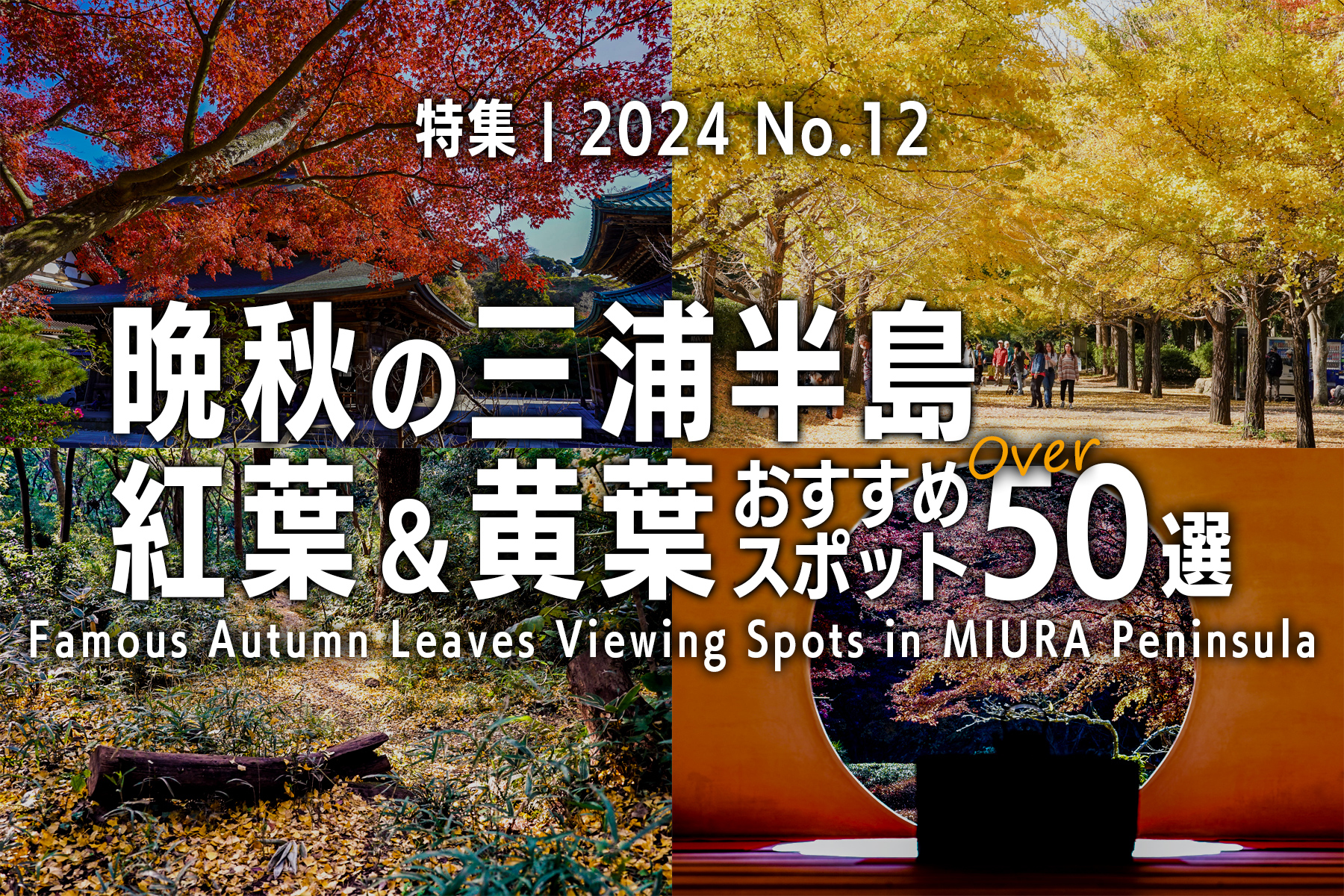 【2024 No.12】特集 | 晩秋の三浦半島 紅葉＆黄葉おすすめスポット