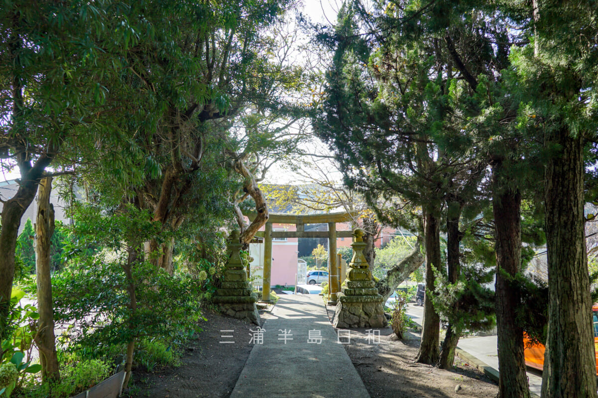 三浦白山神社・参道より鳥居を望む（撮影日：2024.10.24）