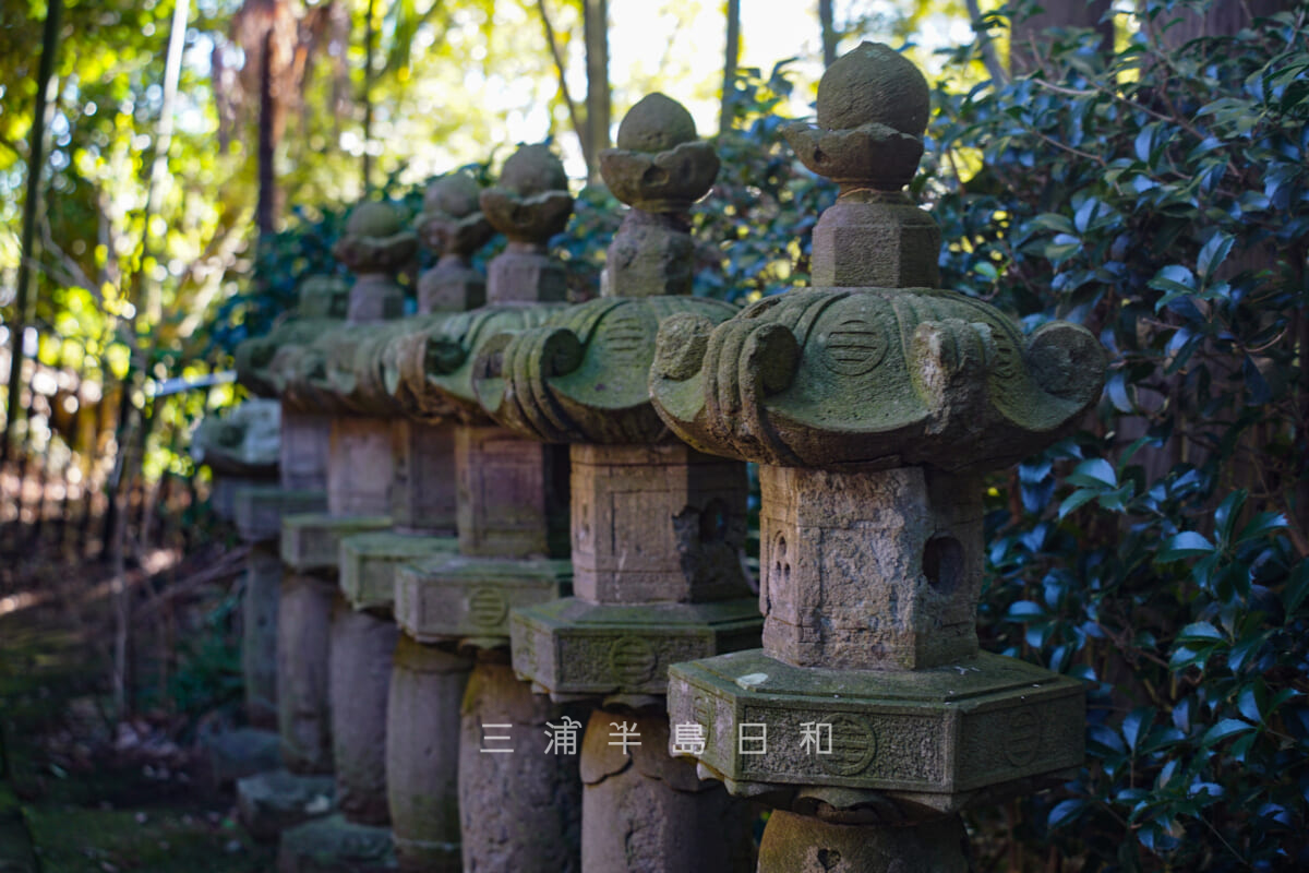 清雲寺・灯籠（撮影日：2022.01.12）