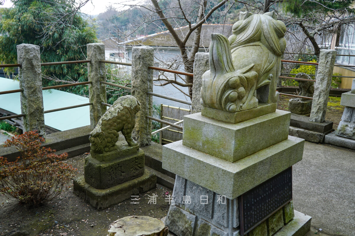 三浦白山神社・新旧の狛犬（撮影日：2022.01.26）