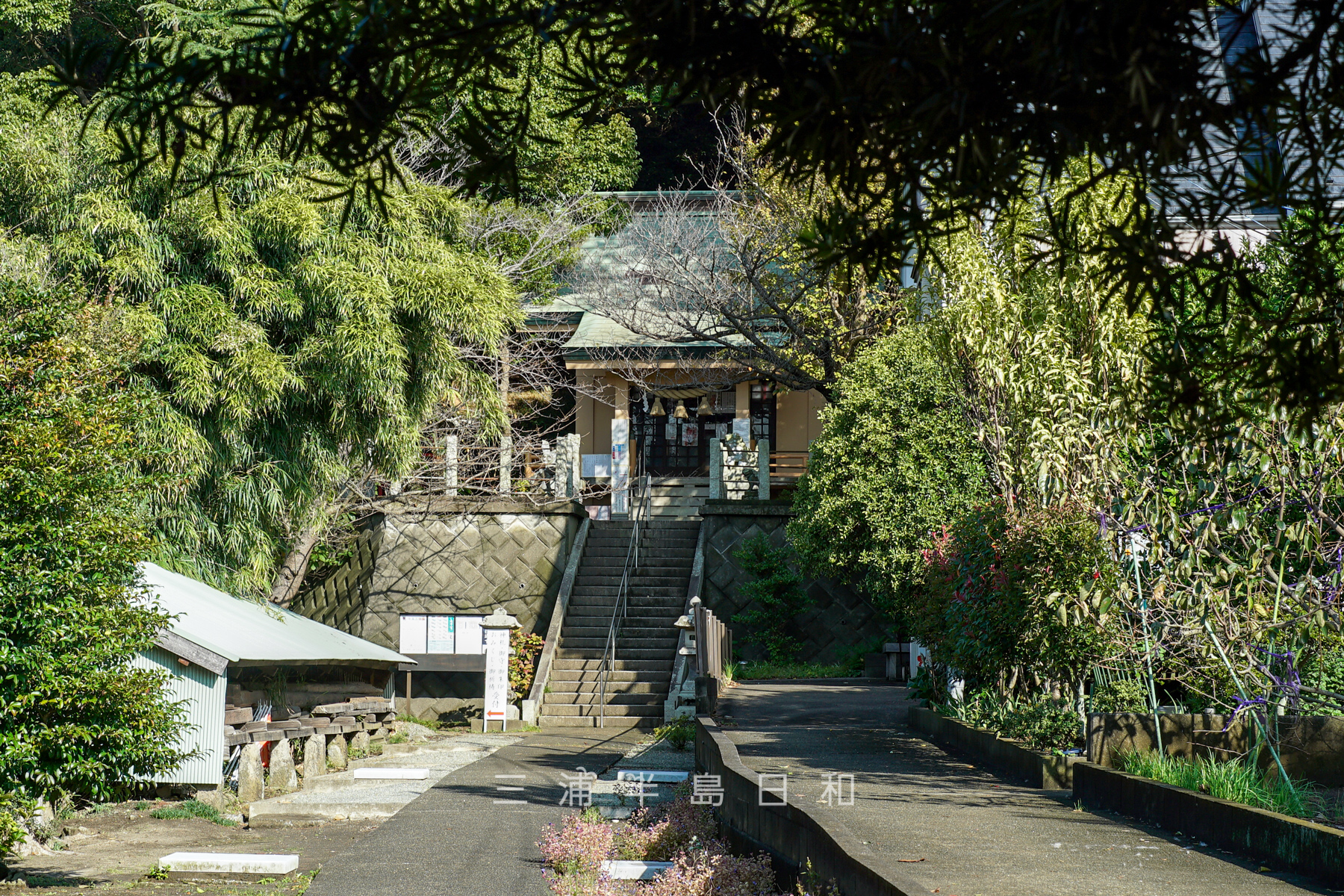 三浦白山神社（撮影日：2024.10.24）