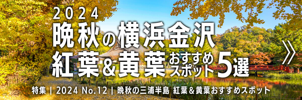 【2024 No.12】特集 | 晩秋の横浜金沢・紅葉＆黄葉