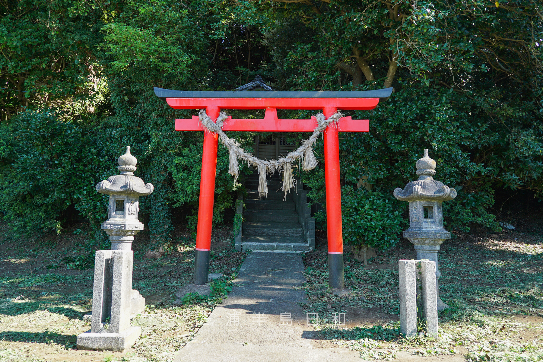 住吉神社（長井）・鳥居と灯籠（撮影日：2024.09.26）