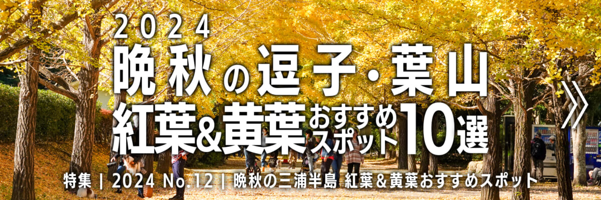 【2024 No.12】特集 | 晩秋の逗子葉山・紅葉＆黄葉