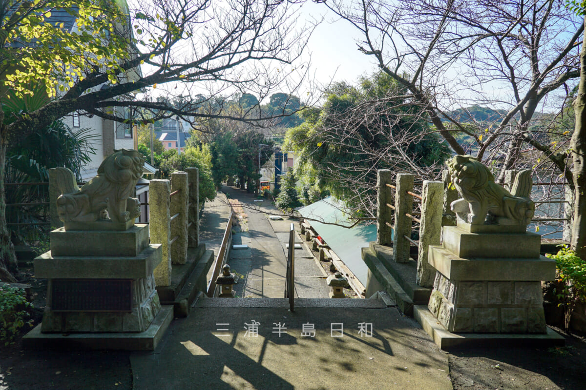 三浦白山神社・社殿前より参道を望む（撮影日：2024.10.24）