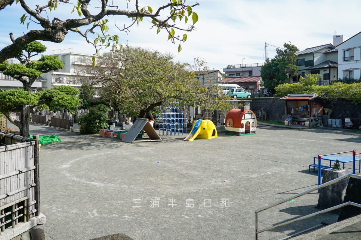 正業寺・本堂前に広がる和順こども園の園庭（撮影日：2024.10.11）