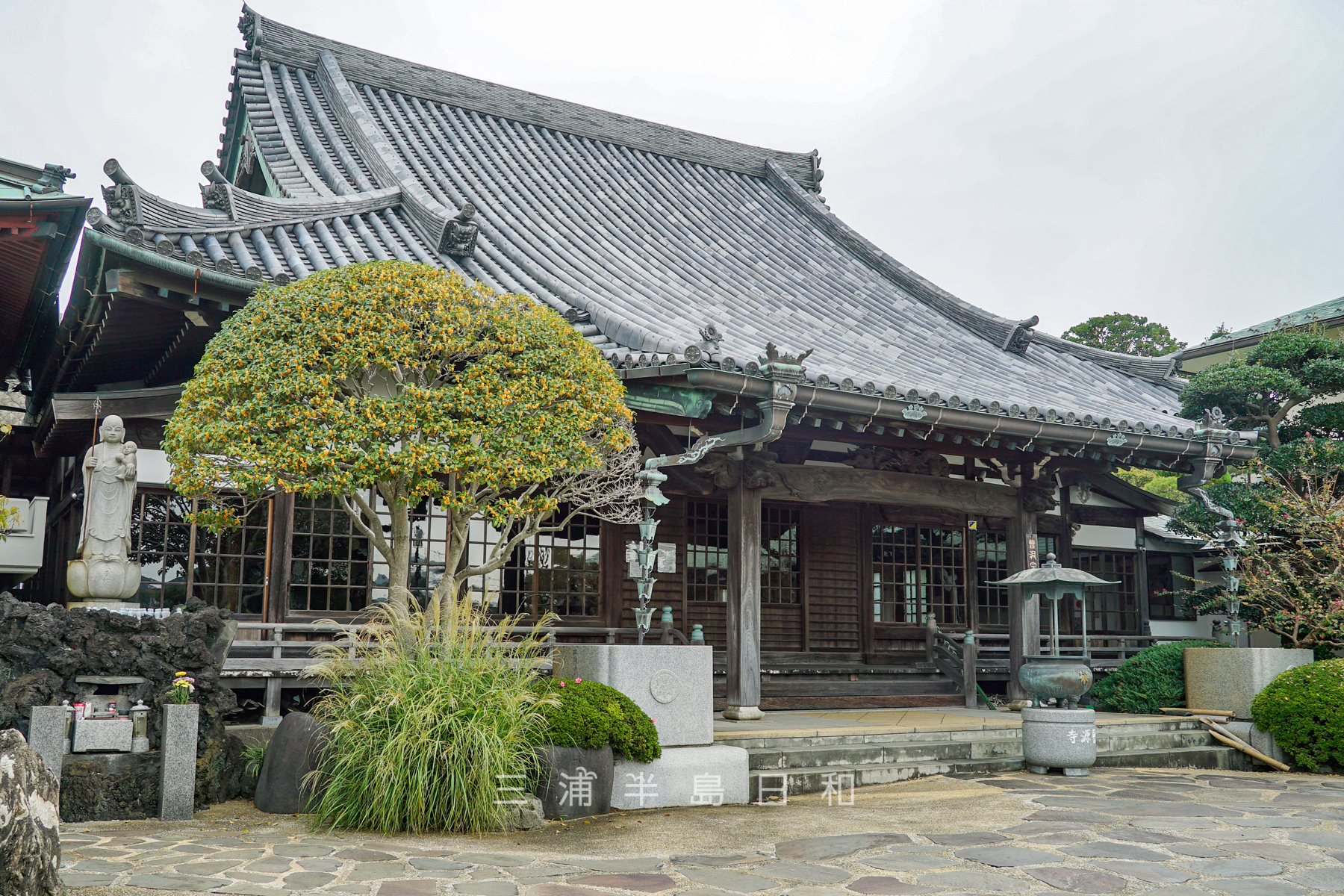 曹源寺・本堂（撮影日：2024.10.17）