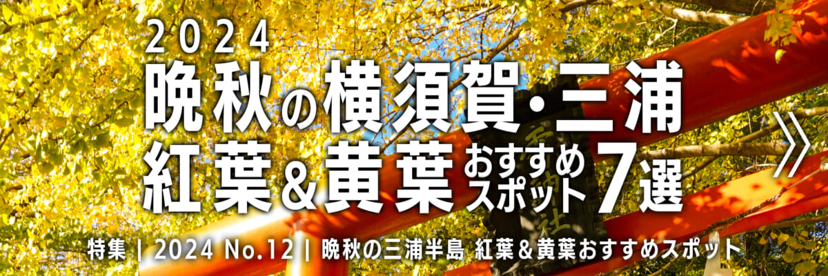 【2024 No.12】特集 | 晩秋の横須賀三浦・紅葉＆黄葉