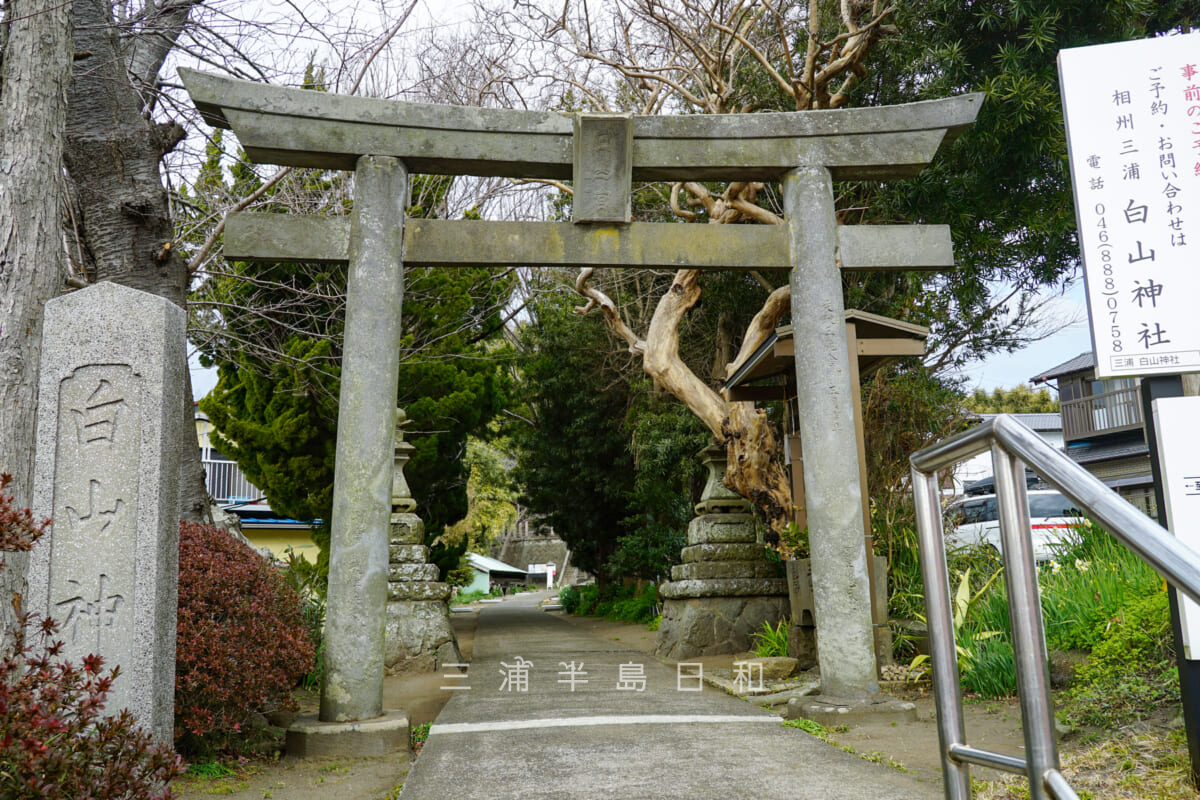 三浦白山神社・鳥居（撮影日：2022.01.26）