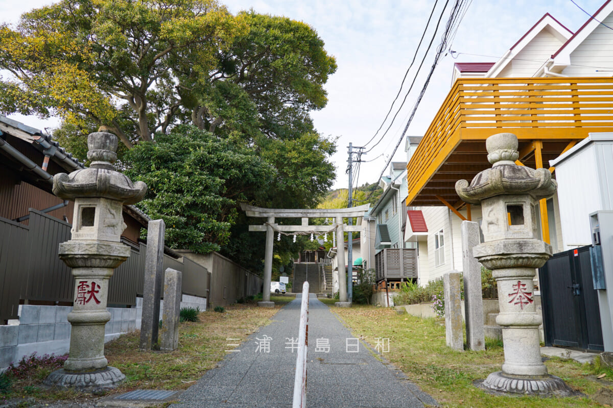 森山神社・灯籠と鳥居（撮影日：2022.11.17）