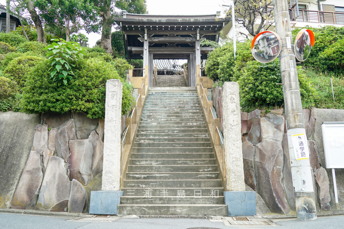 曹源寺・山門を見上げる（撮影日：2024.10.17）