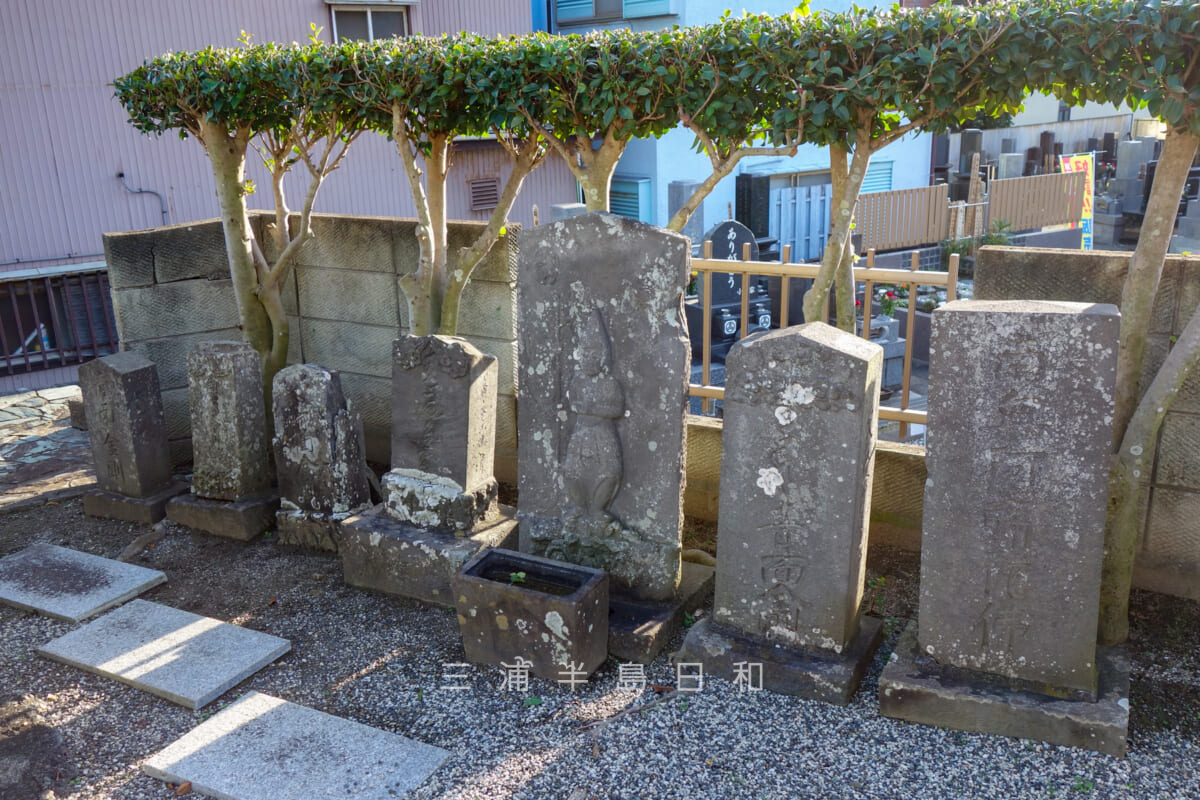 宗円寺・庚申塔群(撮影日:2024.11.17)