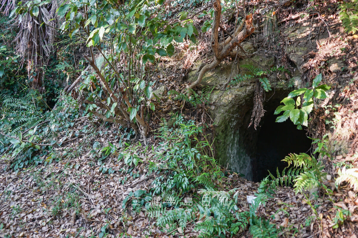 桐ヶ谷歴史庭園・沼間桐ヶ谷氏横穴群-2（撮影日：2024.11.22）