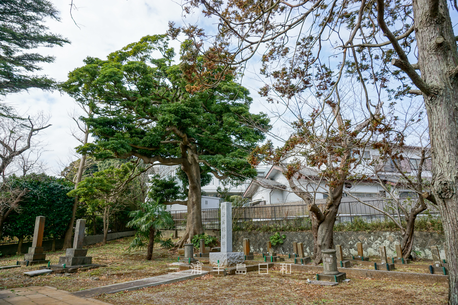 平作旧陸軍墓地（撮影日：2021.03.01）