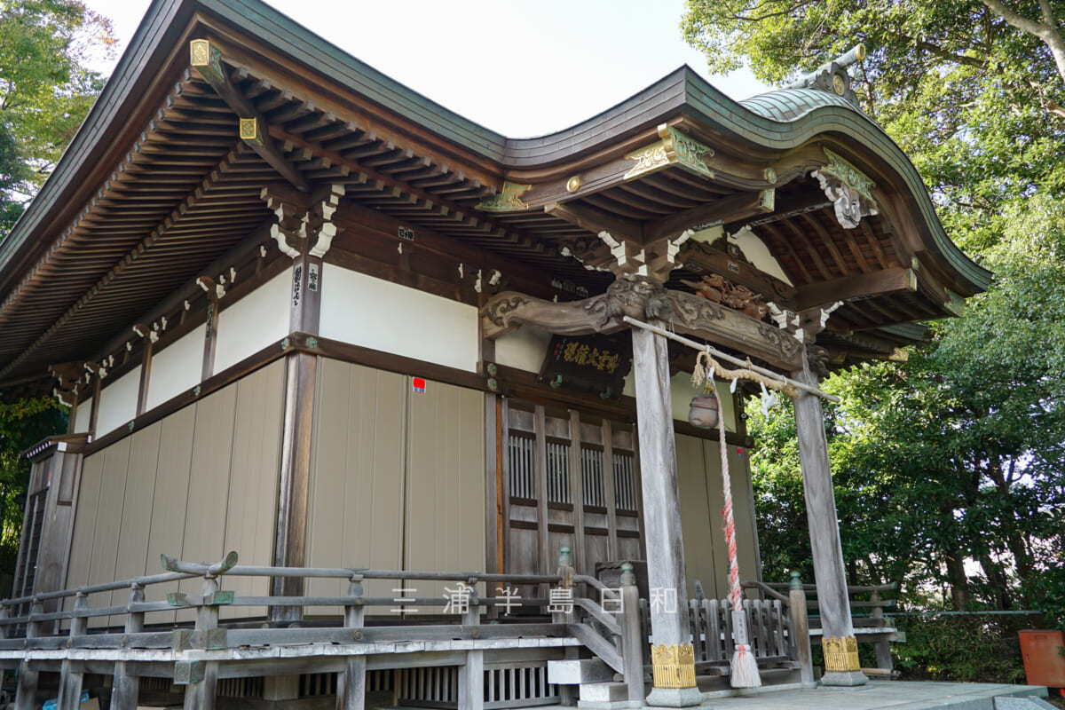 御霊神社（佐原）・社殿（撮影日：2024.11.08）