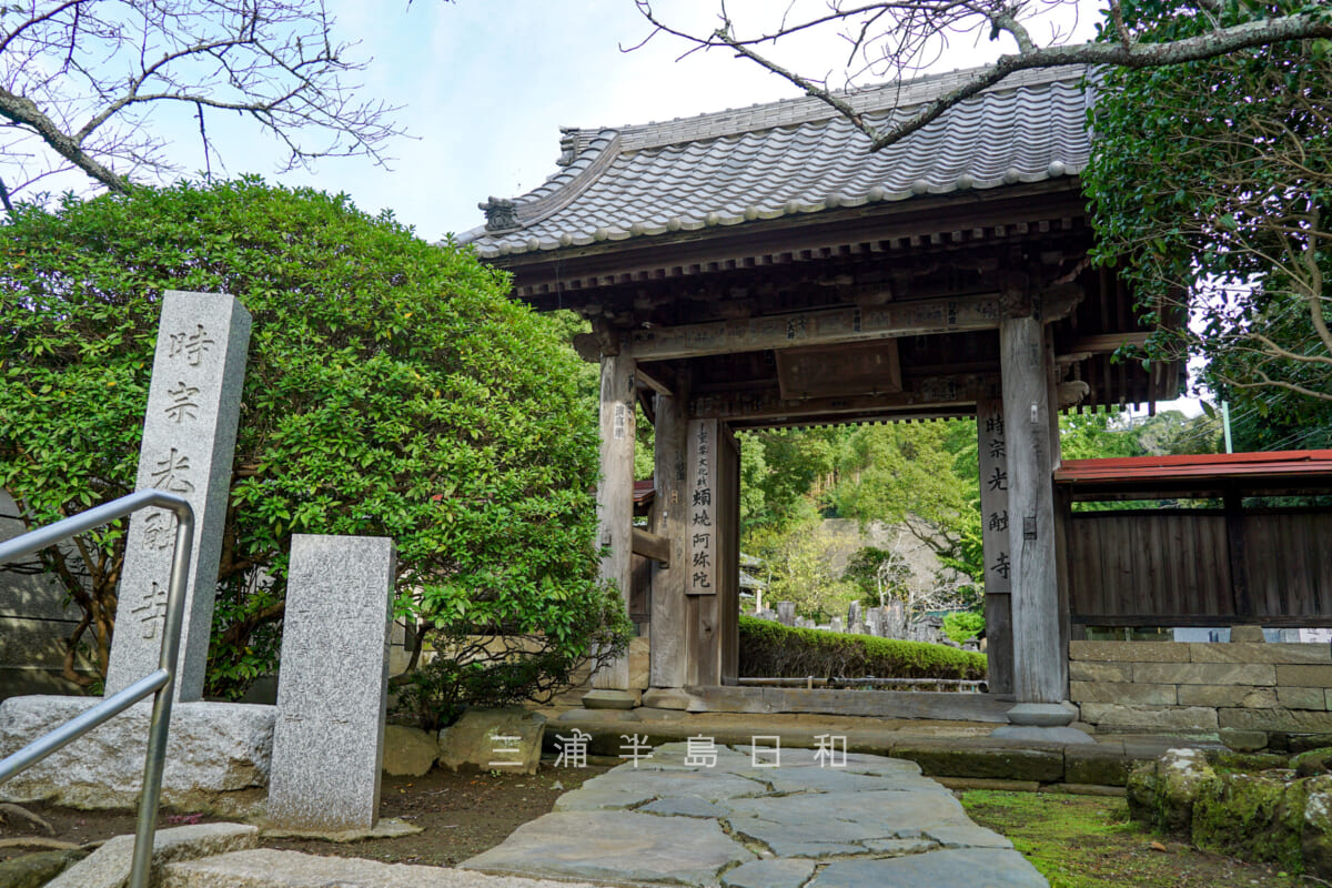 光触寺・山門(撮影日:2024.10.31)