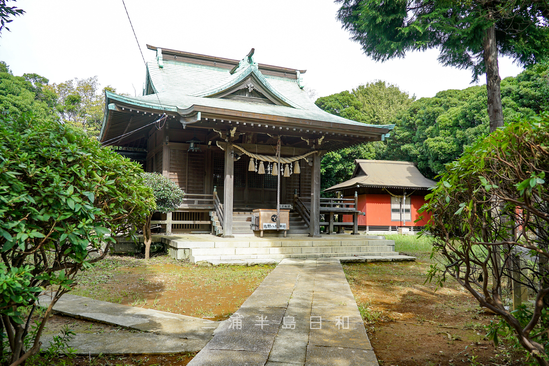 佐野八幡神社（撮影日：2024.10.31）