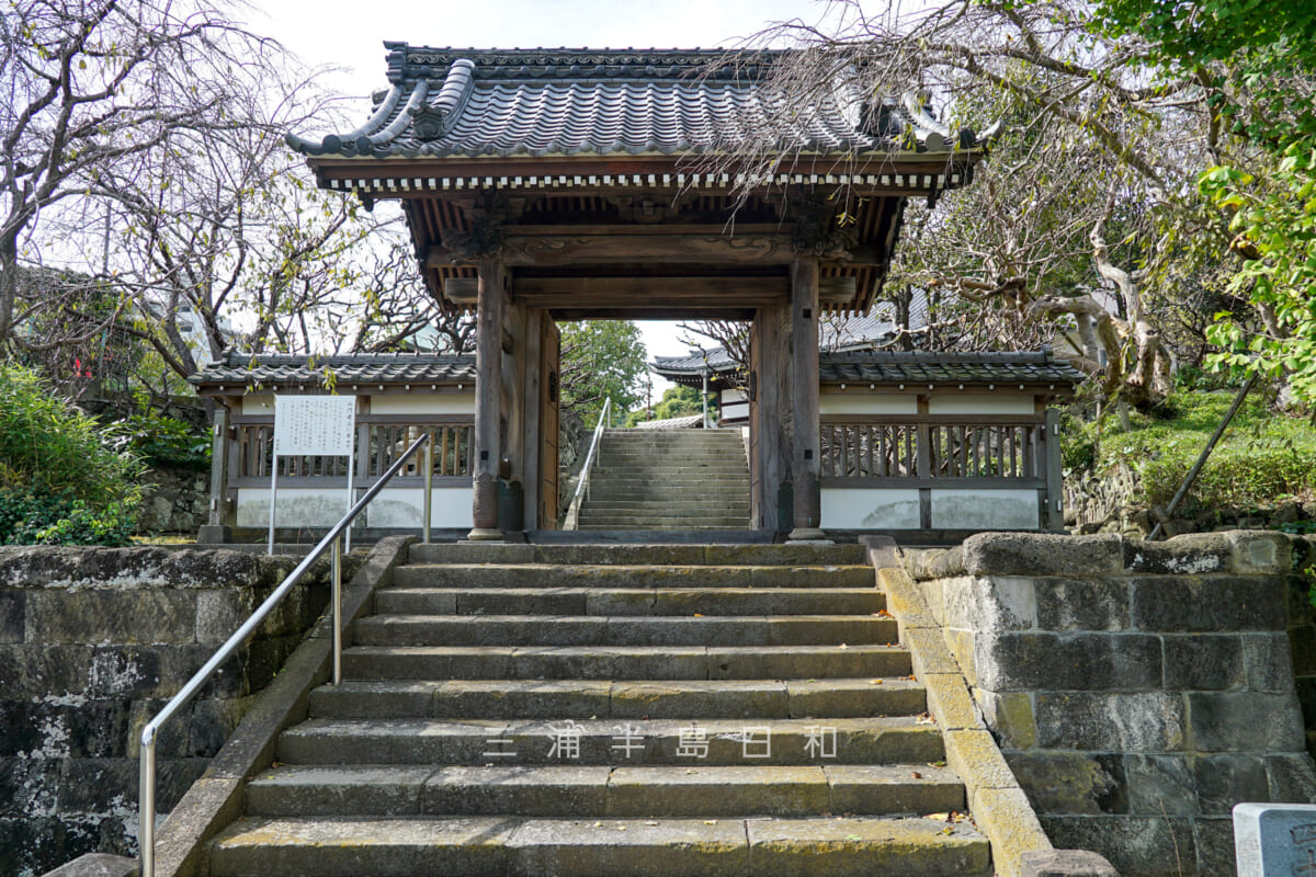 西来寺・山門（撮影日：2024.10.31）