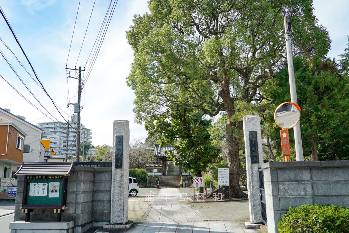 西来寺・総門（撮影日：2024.10.31）