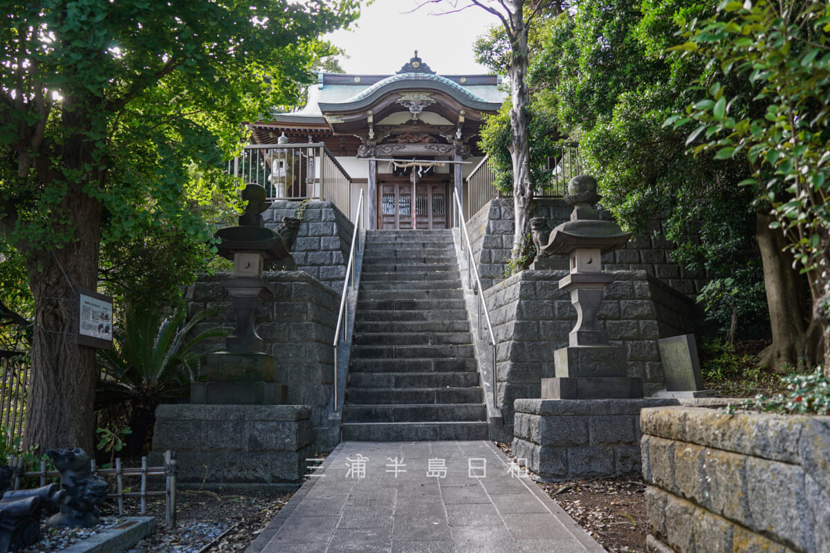 御霊神社（佐原）・石段より社殿を望む（撮影日：2024.11.08）