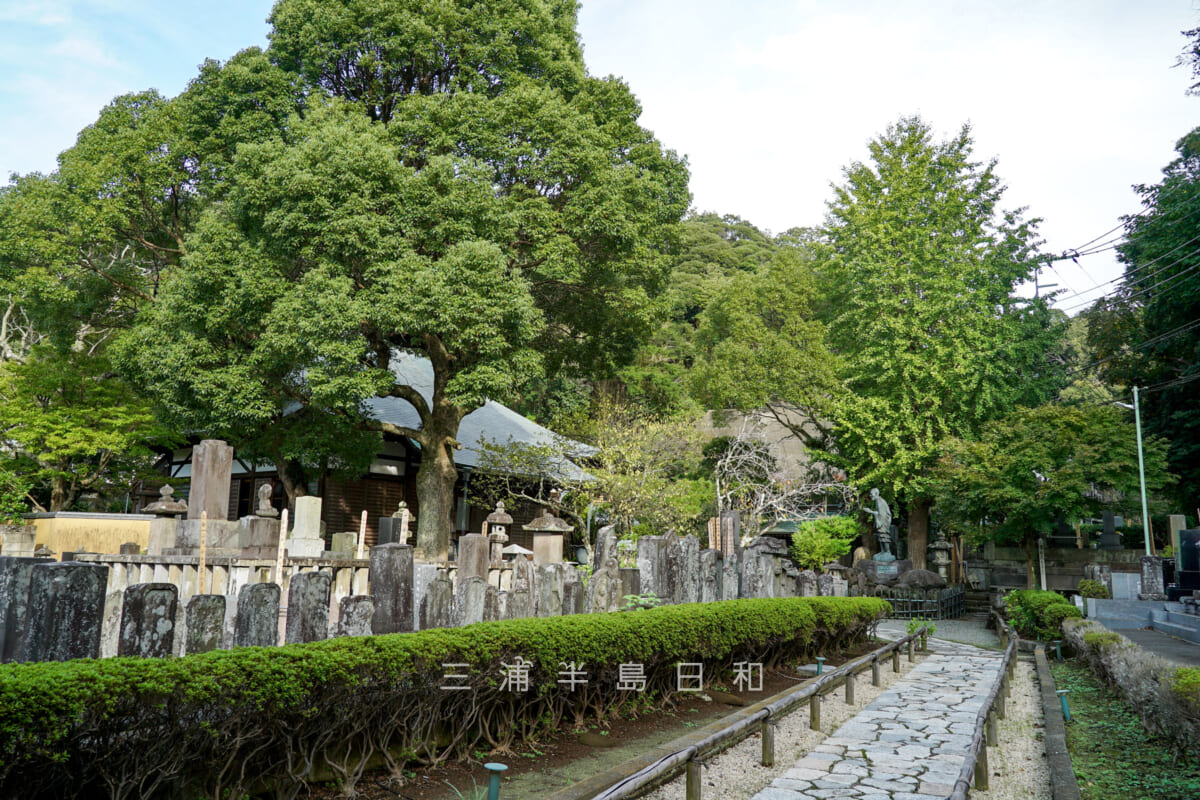 光触寺・参道(撮影日:2024.10.31)