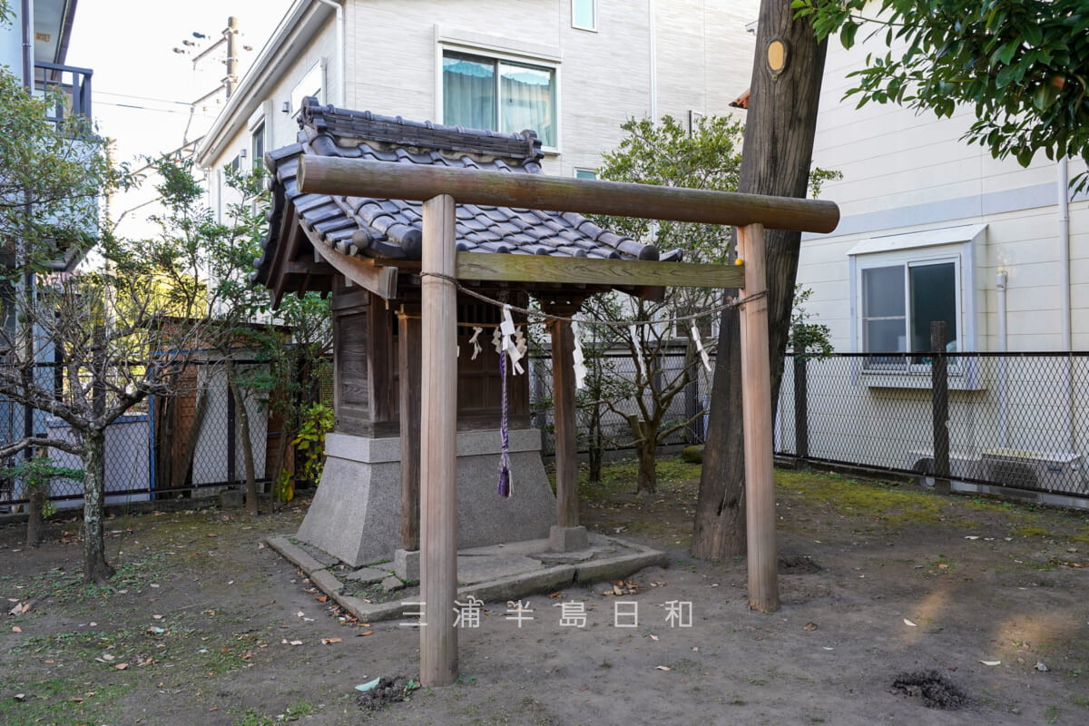 巽神社・境内社-諏訪神社（撮影日：2024.12.18）