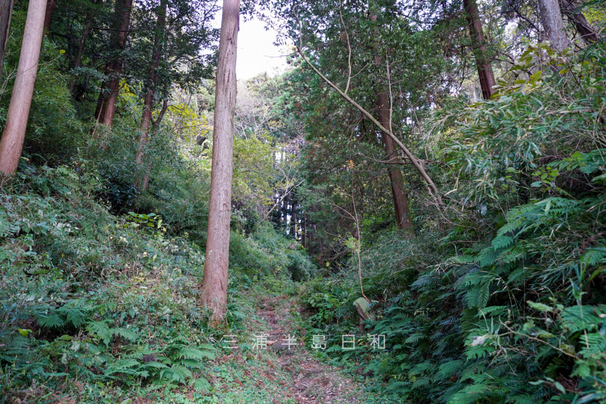 建長寺-回春院・回春院奥やぐら群や西御門方面に続く山道（撮影日：2024.12.06）