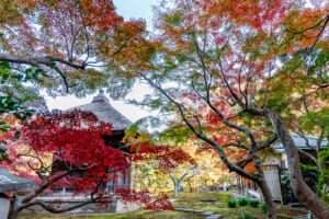 長寿寺・足利尊氏の墓