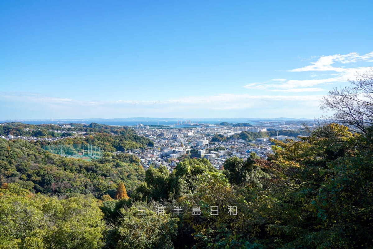 金沢動物園・しいの木山展望台より釜利谷の街並みを望む（撮影日：2024.11.29）