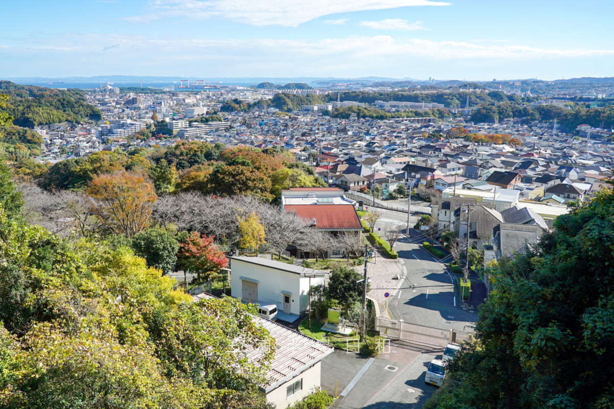 金沢動物園・清戸橋より夏山口、釜利谷の街並みを望む（撮影日：2024.11.29）