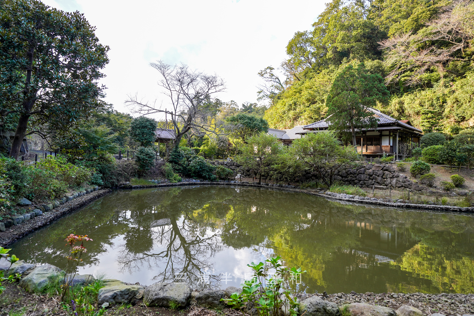 建長寺-回春院・大覚池（撮影日：2020.10.26）