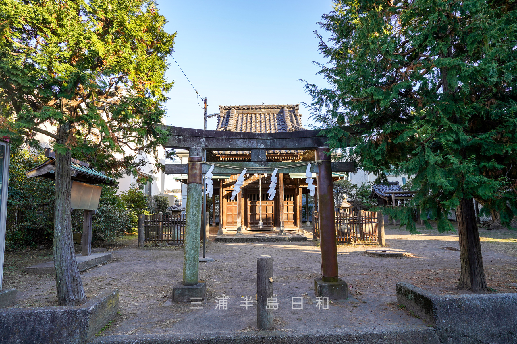 巽神社（撮影日：2024.12.18）