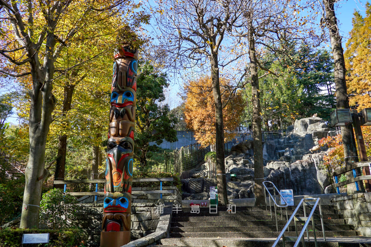 金沢動物園・アメリカ区-ヨコハマ・トーテムポール「シーアイア」（撮影日：2024.11.29）