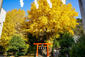 雷神社