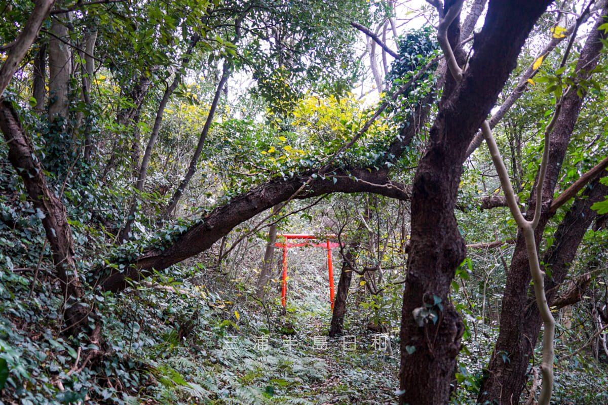 雨崎神社（浅間神社）・鳥居（撮影日：2024.12.27）