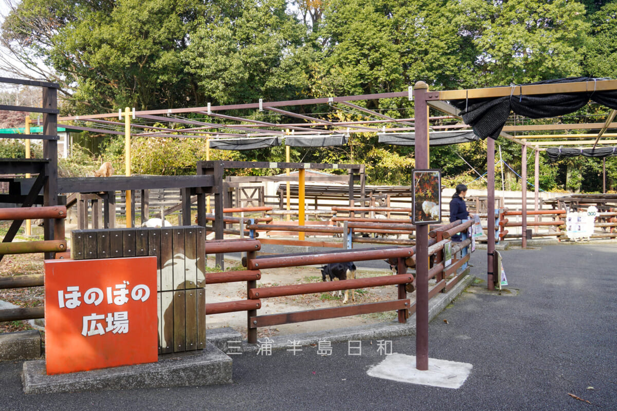 金沢動物園・ほのぼの広場（撮影日：2024.12.05）